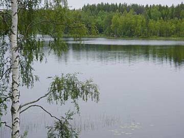 Фото номера Дом для отпуска Дома для отпуска Holiday Home Haaparanta г. Kolu 2
